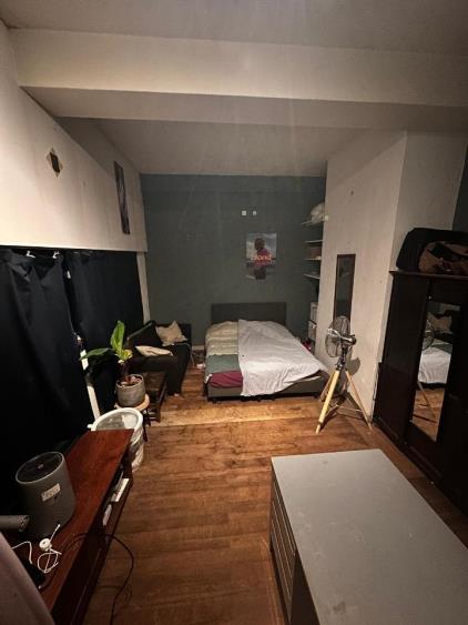 Room for rent 700 euro Ruys de Beerenbrouckstraat, Delft