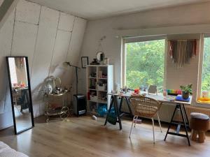 Kamer te huur 700 euro Coehoornsingel, Groningen