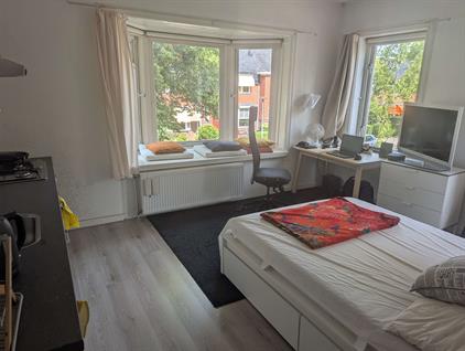 Studio for rent 890 euro Van Panhuysstraat, Groningen