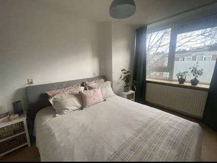 Appartement te huur 1950 euro Balistraat, Amsterdam