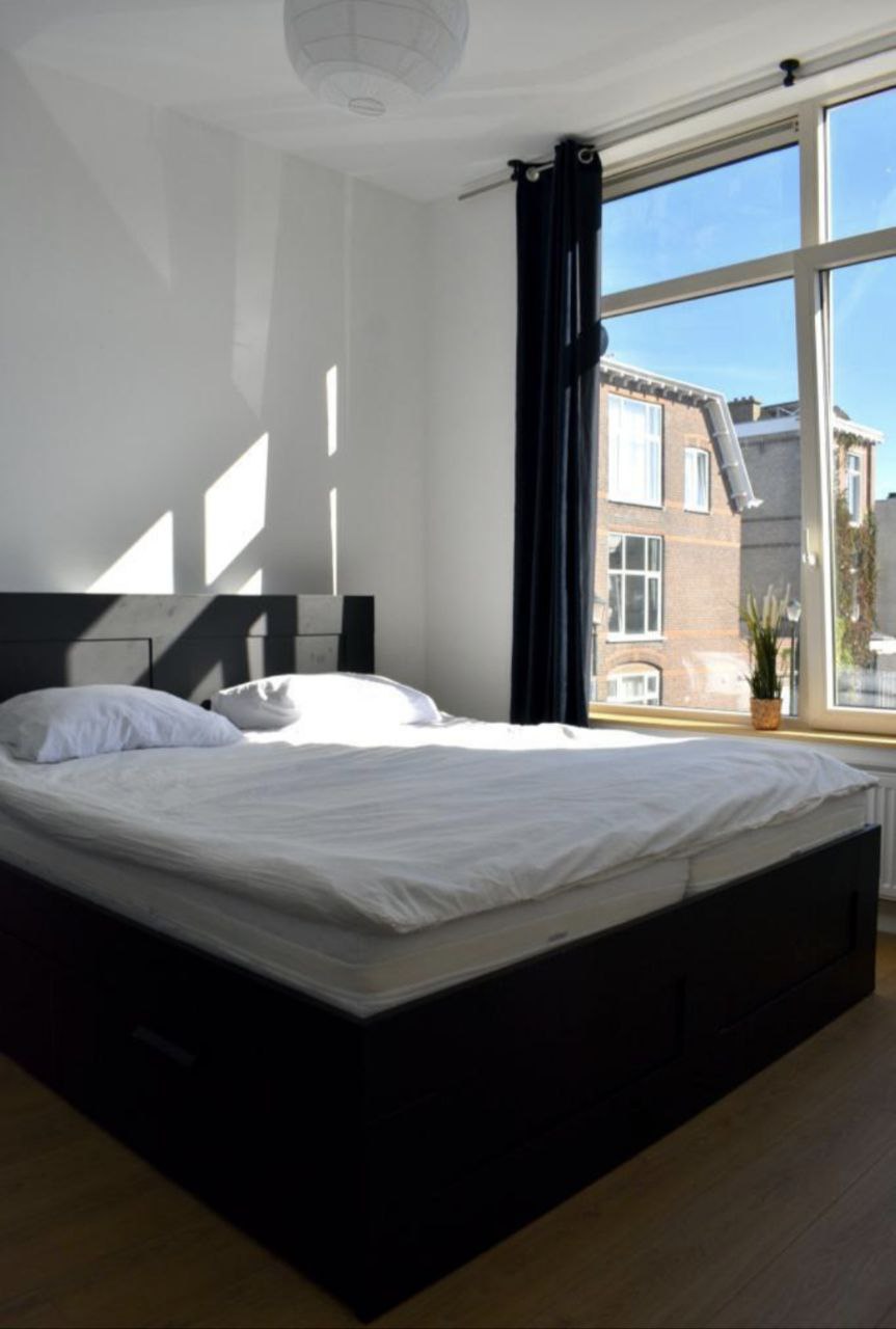 Frederik Ruyschstraat