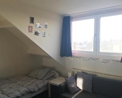 Room for rent 695 euro Herbenusstraat, Maastricht