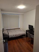 Room for rent 570 euro Predikherenlaan, Tilburg