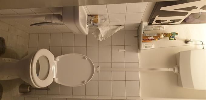 Zimmer bei Medanstraat In Utrecht
