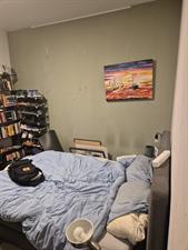 Kamer te huur 807 euro Professor Kamerlingh Onneslaan, Schiedam