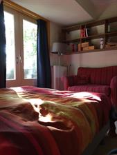 Kamer te huur 775 euro Ringdijk, Rotterdam