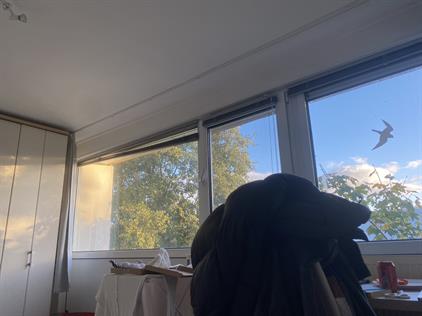 Kamer te huur 673 euro Kantershof, Amsterdam