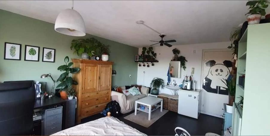 Kamer te huur in Den Haag – Korte Vleerstraat – foto 4