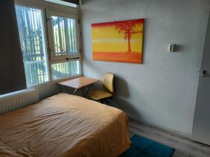 Room for rent 700 euro Vijfheerenlanden, Vianen