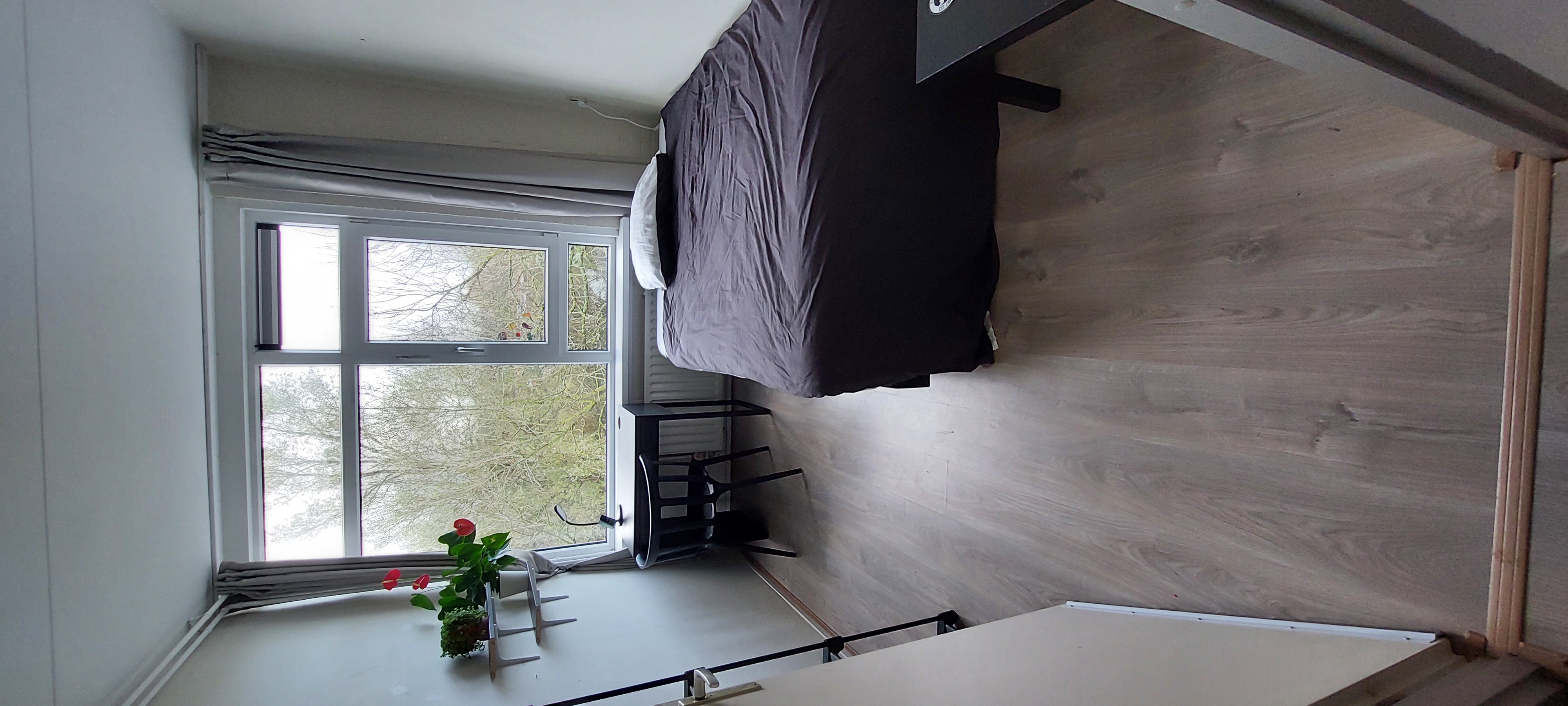 Kamer te huur in Amsterdam – Voordek – foto 2