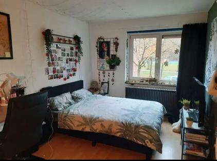 Room for rent 375 euro Campuslaan, Enschede