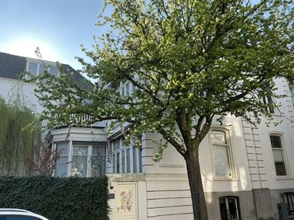 Room for rent 600 euro Balistraat, Den Haag