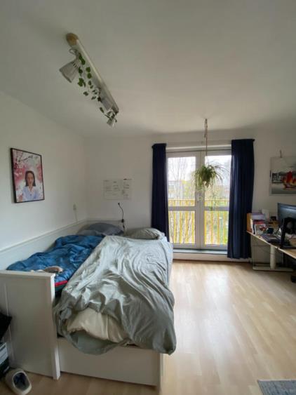 Room for rent 450 euro Derde Werelddreef, Delft
