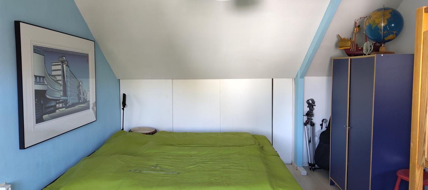 Boksdoorn