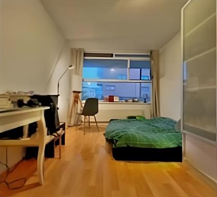 Room for rent 600 euro Rijswijkseweg, Den Haag
