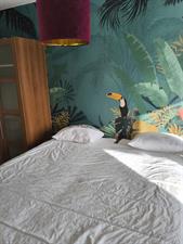 Room for rent 1490 euro H. Cleyndertweg, Amsterdam