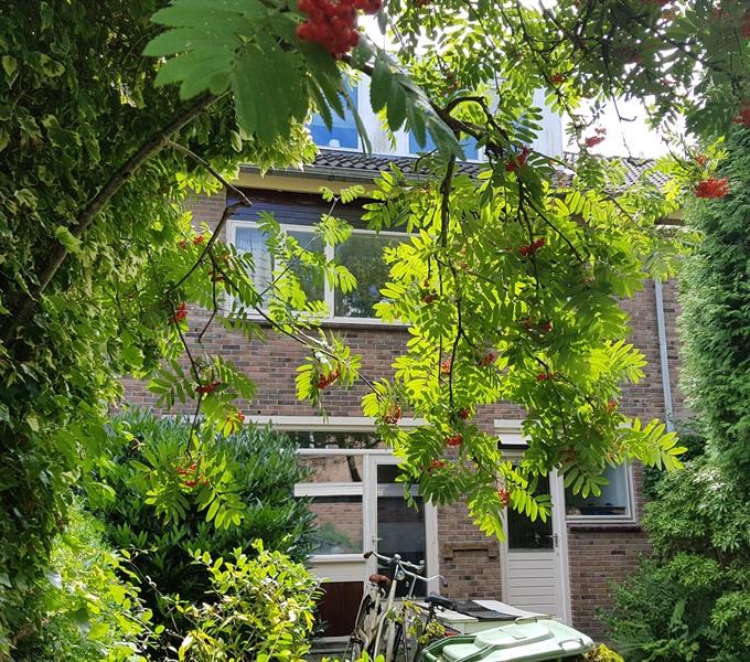 Zimmer bei Jupiterstraat In Groningen