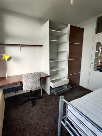 Zimmer bei Livingstonelaan In Utrecht
