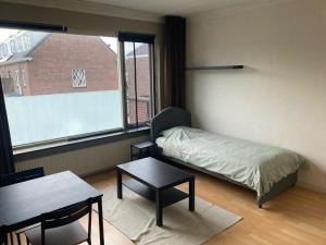 Room for rent 575 euro Professor Molkenboerstraat, Nijmegen