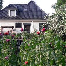 Room for rent 395 euro Apollolaan, Enschede