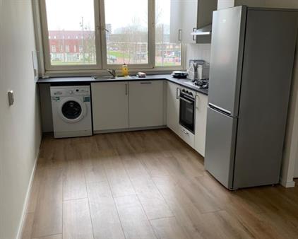 Room for rent 800 euro Dijkgraafplein, Amsterdam