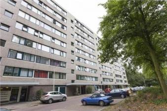 Room for rent 523 euro Roland Holstlaan, Delft