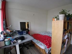 Room for rent 440 euro Isaac da Costalaan, Delft