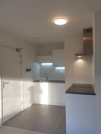 Studio bei Petrus Campersingel In Groningen