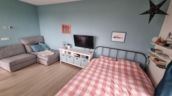 Studio bei Kleine Beer In Groningen