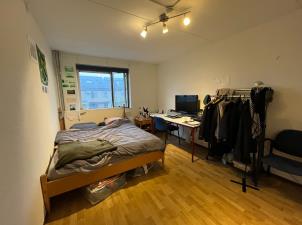 Room for rent 950 euro Wisentstraat, Almere