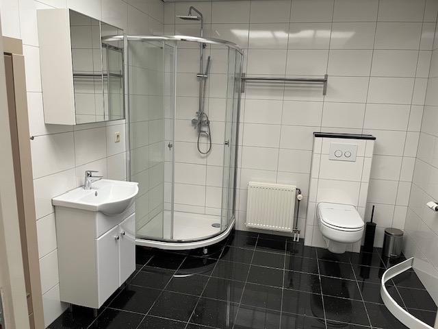 vrije-sector-woningen te huur op Bierbrouwersweg