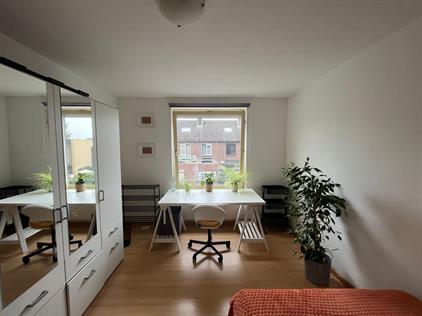 Room for rent 470 euro Planetenhof, Maastricht