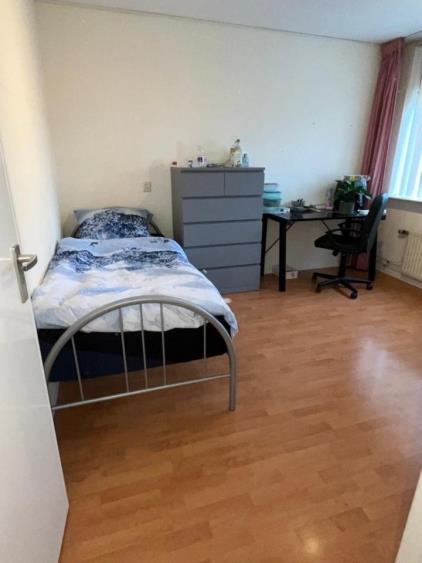 Room for rent 750 euro Goudplevier, IJsselstein