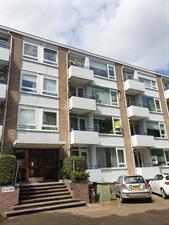 Room for rent 645 euro Tulpstraat, Rijswijk