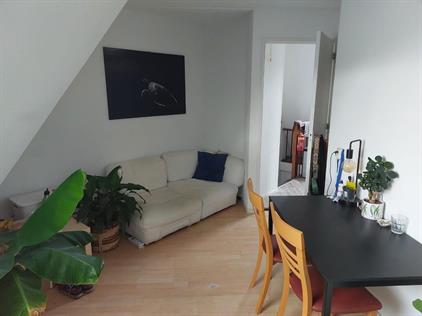 Room for rent 500 euro Herman Oolbekkinkstraat, Nijmegen