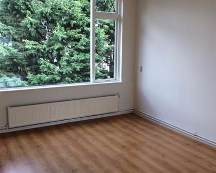 Room for rent 595 euro Buizerdstraat, Rotterdam