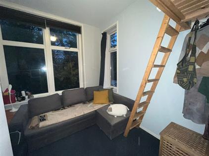 Zimmer zu vermieten 500 Euro Koningsplein, Delft