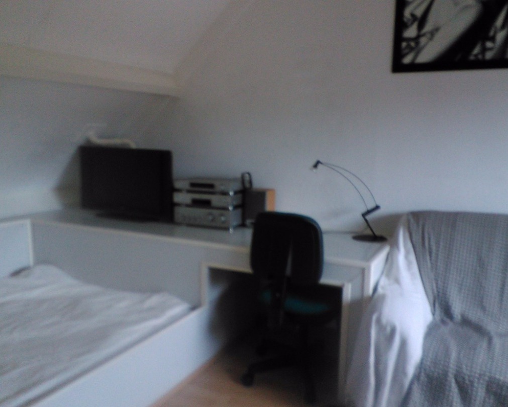 Kamer aan Leeuwerik, Mijdrecht 5