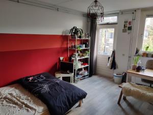 Room for rent 354 euro Bezembindersgas, Nijmegen