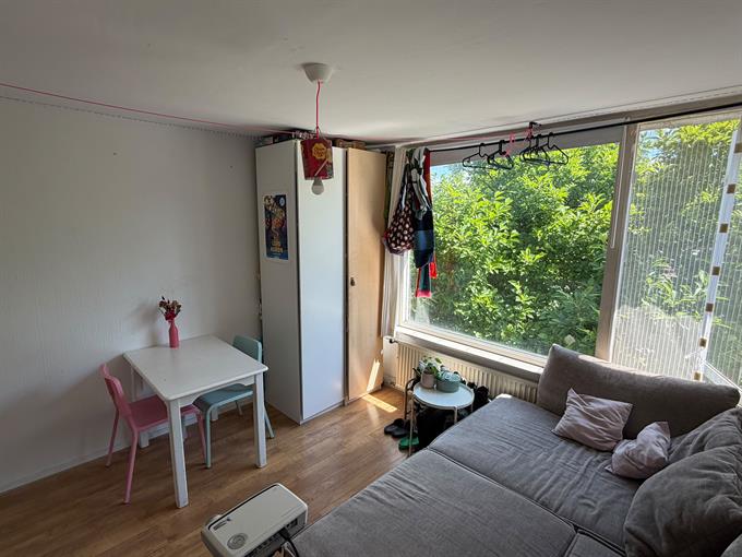 Zimmer bei Wilderen In Breda
