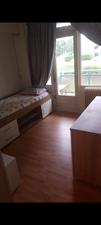 Zimmer zu vermieten 500 Euro Albertistraat, Rotterdam