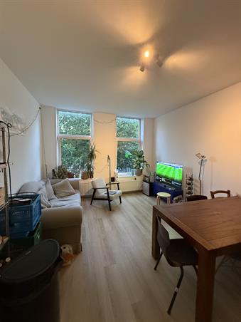 Zimmer bei Mathenesserlaan In Rotterdam