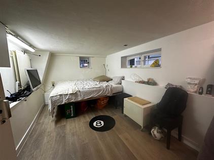 Room for rent 500 euro Zuiderpark, Groningen