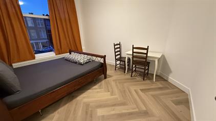 Room for rent 1000 euro Copernicuslaan, Den Haag