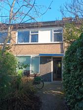 Room for rent 520 euro Ranonkelstraat, Groningen