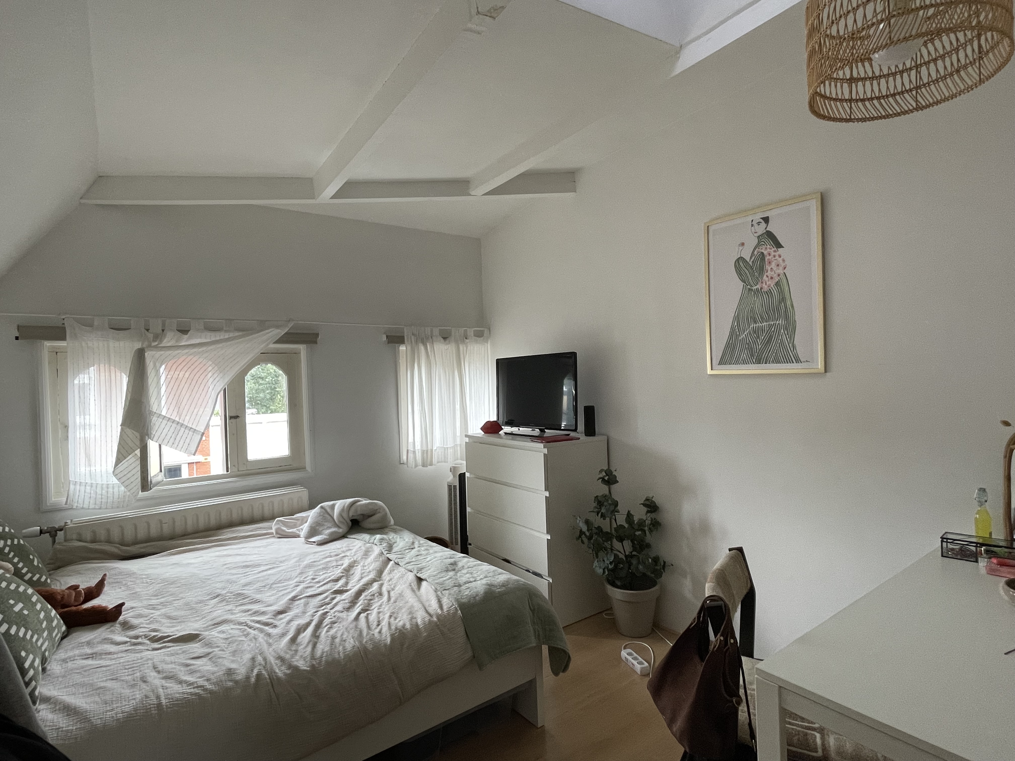 Kamer aan Ginnekenweg, Breda 5