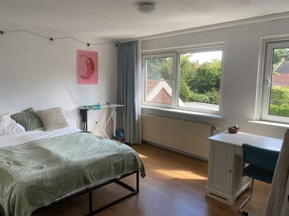 Room for rent 321 euro Ribbeltsweg, Enschede