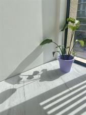 Studio te huur 1800 euro Hugo de Vrieslaan, Amsterdam