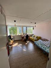 Kamer te huur 731 euro Goudlaan, Groningen