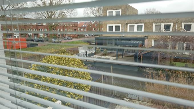 Zimmer bei Jef Laststraat In Rotterdam
